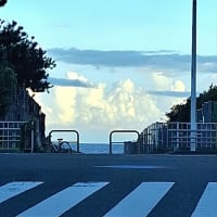 なつ