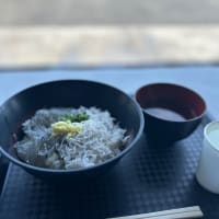 「田子ノ浦漁協食堂」の「ハーフ丼」を食べてみた！