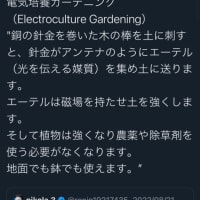 こんなの試してみました。