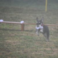 2021.3．21　東京グロック訓練競技会
