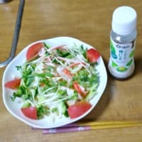 6/6　ひるごはん　サラダうどん