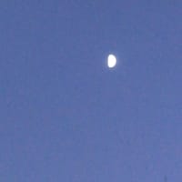 半月かな？常岡千寿子です