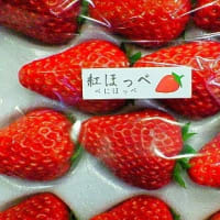 一期一会