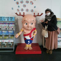 帰省の合間に小旅行