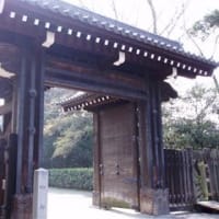 京都旅行記その１８～哲学の道編