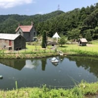 ENGLISH GARDEN