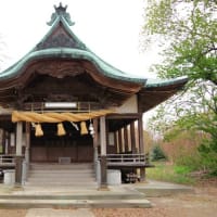 愛媛県東温市、北方「揚（あがり）神社のクスノキ」（市指定）です！！