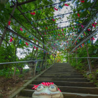 かえる寺・如意輪寺の「風鈴まつり」　～福岡県小郡市～　2025/6/21