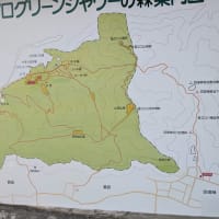 龍ノ口山　2025.6.5　「23」