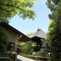 【京都幕間旅情】光悦寺,POMERA-DM-200はワープロの正統進化のように思えるPOMERA