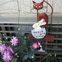 明けまして、おっ！いいねぇ🎍