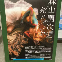 森山開次「死と乙女」