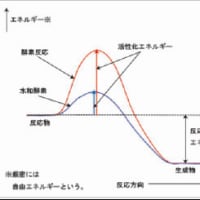 Activity energy of structured micronutrients/ พลังงานกิจกรรมของสารอาหารที่มีโครงสร้าง