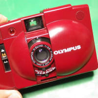 Rollei 35 Sのメンテナンスの巻 - 今なにしてる (トミーの Rollei 35 Sのメンテナンスの巻 - 今なにしてる (トミーの