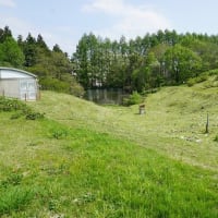 みちのく一人旅　青森県３