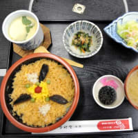 懐かしの駅弁（長万部・かにめし）