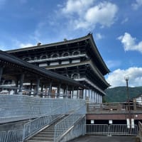 孫の子守り・午後は家内も一緒に花の桔梗寺・遍照寺・但馬大仏長楽寺