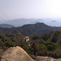久しぶりに初めての山