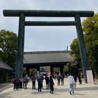 桜の千鳥が淵