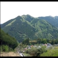 平日休みは 畑仕事💦