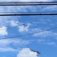 7月の日記１３　来客で一日が終わりました