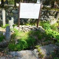 大宰府市の散策記　on　2025-4-9＆4-10　その13　伝衣塔と光明禅寺