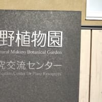 松山へ行ってきました!!