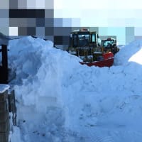 自治会の排雪作業