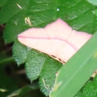 石津川沿い～高橋から毛穴大橋～