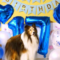 Happy 17th Birthday, Qoo♪　～産まれてきてくれてありがとう～