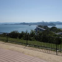 春霞