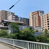 今年もあと半年【福岡市社交ダンス教室・福岡市社交ダンススタジオ・薬院、渡辺通、柳橋・福岡のダンススクールライジングスター】