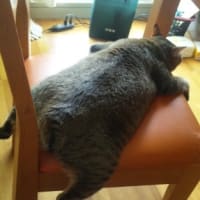 こんな感じ