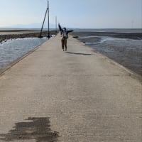 本日重賞競馬レースと旅日記