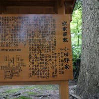 秋田２０２４　２日目　その２