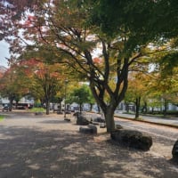10月の最上義光歴史博物館前