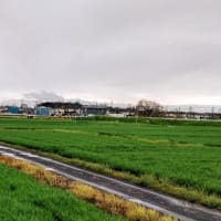「これ以上薬に頼るのは止めた方が！」と薬局の方に言われてしまいました！