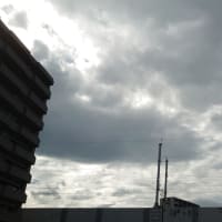 今日の博多３５５　【本来なら梅雨末期】