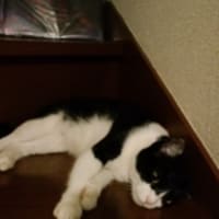 盛り盛りの撮影