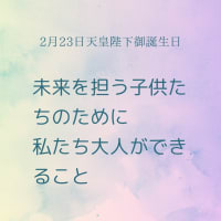 2/23天皇陛下御誕生日に思うこと〜私たち大人ができること〜