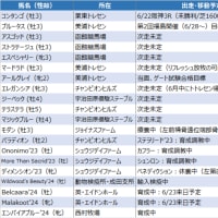 今週はコンタンゴが勝つ！（あくまで予定…(^^ゞ）