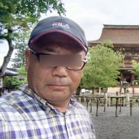 奈良発観光報告　④吉野山　⑤和歌山城