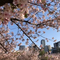 カルチャーの現場から　＃４８「音楽」