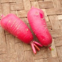 今週の野菜から ～6月〔3〕回目