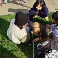 娘小学生とマブ達となる