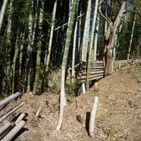 富士山探訪記ーーー２