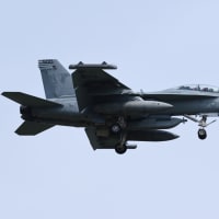 2025年4月18日 厚木基地 R/W19 “日米親善桜まつりフライ・イン抜粋版”