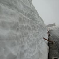 ８年ぶりのリベンジも……雪の大谷
