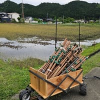 電柵