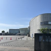 第101回日本選手権水球競技